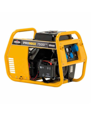 B&S  Promax PM7500EA 7500...