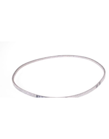 Texas v riem Hobby frees