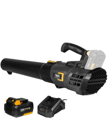 Texas LBX2000 (20V) accu...