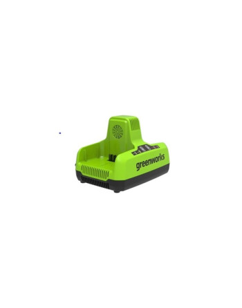Greenworks G80UC8 80 Volt...
