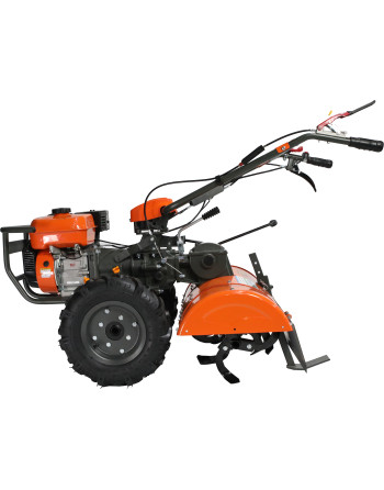 Anova Tuin bakfrees 7 pk 62...